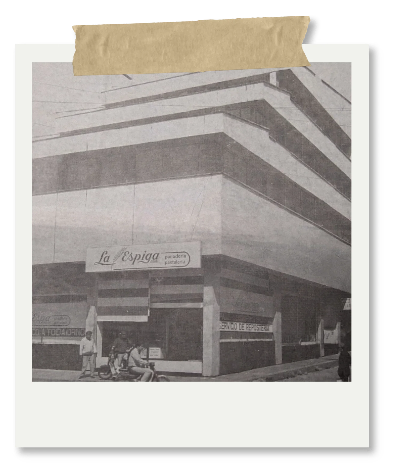 La Espiga — historia desde 1982